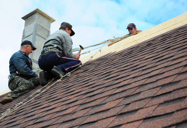 Best Shingle Roofing Installation  in Humboldt Hill, CA